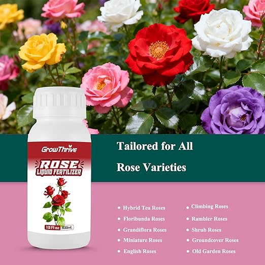 Rose Liquid Fertilizer 10 oz – Organic Rose Plant Food with Probiotics, Natural Flower Fertilizer for Bigger Blooms, Greener Leaves & Healthy Roots – Concentrated 1:400 Formula