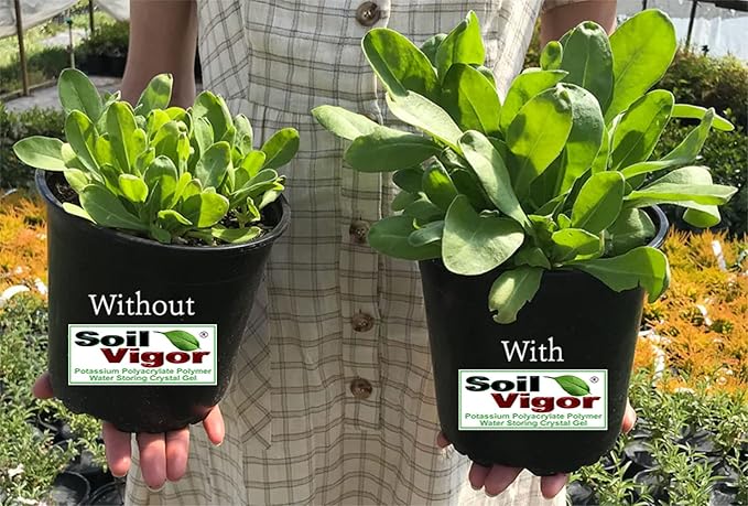 The Ultimate Super Absorbent Polymer for Thirsty Plants - Reduce Watering, Boost Growth, and Save Water-1 Pound