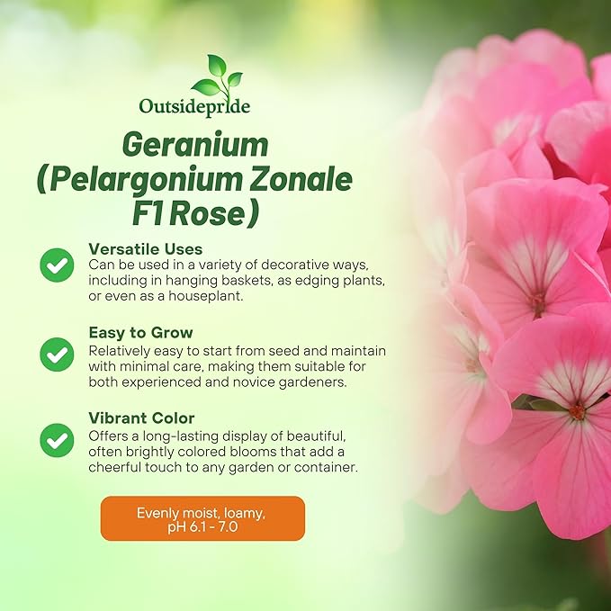 Outsidepride Rose Geranium Seeds for Planting - 50 Pcs Annual, Heat & Drought Tolerant Flower Seeds with Green Foliage & Rose Blooms for Pots, Borders & Lush Summer Garden Displays