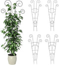 4 Pack Metal Trellis for Climbing Potted Plants Indoor Outdoor - 30 Inch Rustproof Garden Stakes, Plant Support for Monstera Pothos Ivy Hoya Vines, Potted Houseplant