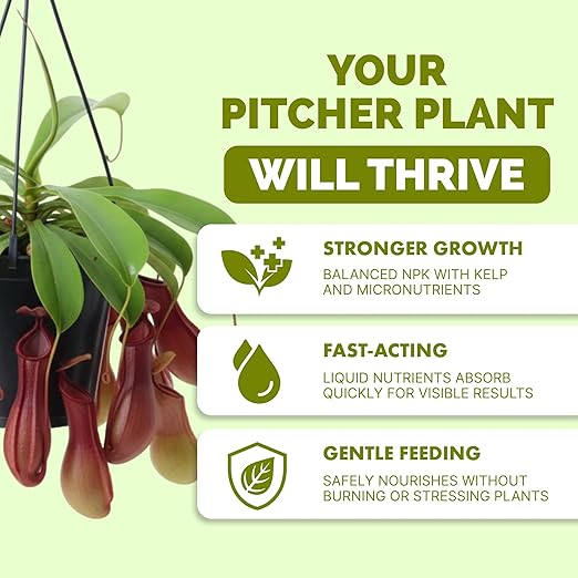 Pitcher Plant Food – Liquid Plant Food for Healthy Pitcher Development, Vibrant Color & Strong New Growth, 32 oz