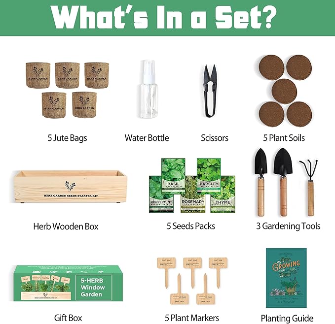 Indoor Herb Garden Starter Kit, Growing into Basil, Parsley, Rosemary, Thyme, Mint, Including A Wooden Box, Soil Discs & Planters with A Gift Box, Ideal Gifts for Women