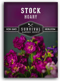 Stock Flower Seeds for Planting - Matthiola Incana Hoary Stock, Fragrant Cut Flower Garden, Vintage Harmony Mix, Non-GMO Heirloom - Survival Garden Seeds (1 Pack)