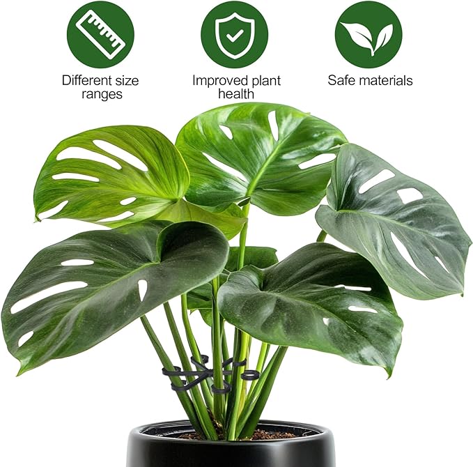 16Pcs Plant Stem Support, Plant Support for Indoor Plants, Plastic Climbing Plants Stem Holders for Thriving Growth Accessories