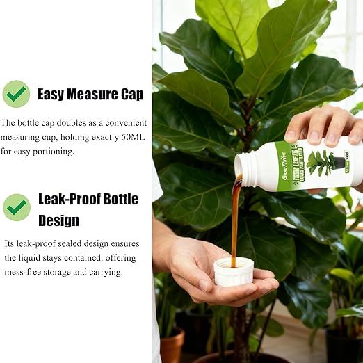 Organic Fiddle Leaf Fig Fertilizer Liquid - 10oz Microbial Probiotic Plant Food for Ficus Lyrata - Promotes Roots & Greener Leaves