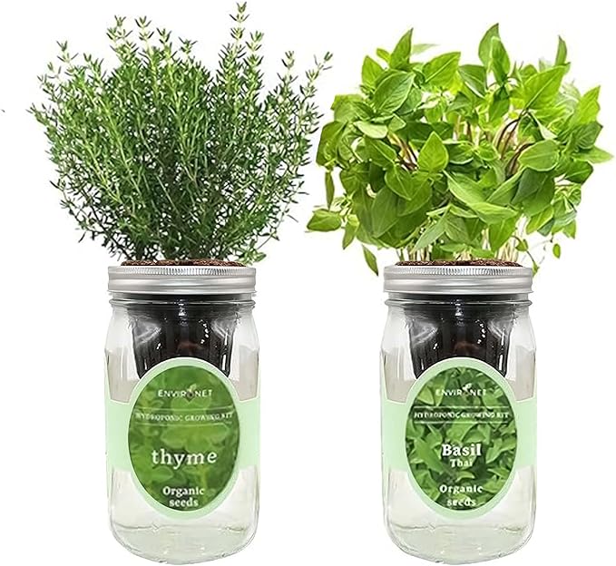 2-Pack Hydroponic Mason Jar Herb Garden Kit, Indoor Herb Garden Self-Watering Starter Kit, New Christmas Gift for Mom (Thyme,Thai Basil)