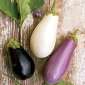 Seeds Eggplant Long Mix- Heirloom Vegetable - GMO Free