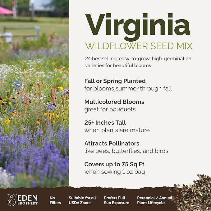 Eden Brothers Virginia Wildflower Mixed Seeds for Planting, 1 oz, 30,000+ Seeds with Five Spot, African Daisy | Attracts Pollinators, Plant in Spring or Fall, Zones