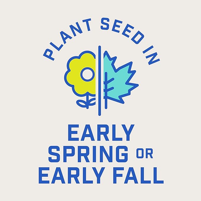 Pennington Smart Seed Clover and Grass Mix 7 lb (Pack of 2)