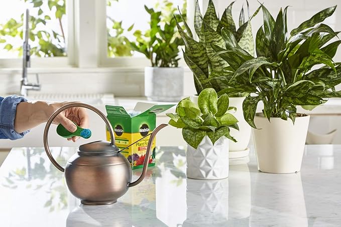 Miracle-Gro Water Soluble All Purpose Plant Food - Fertilizer For All Indoor or Outdoor Plants including Roses, Flowers, Vegetables, Houseplants, Trees, and Shrubs, 1.5 lbs. (6-Pack)