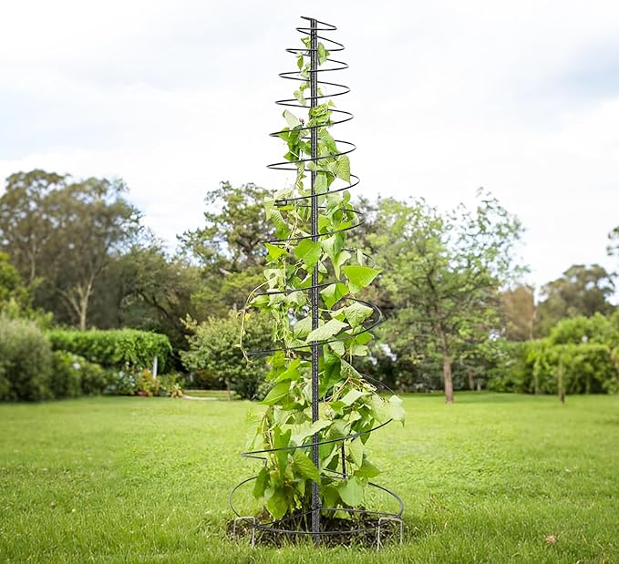 Trellis for Climbing Plants Outdoor or Indoor,73inch Tall Garden Trellis for Climbing Plants,Metal Plants Trellis Support for Vine Vegetables,Flowers