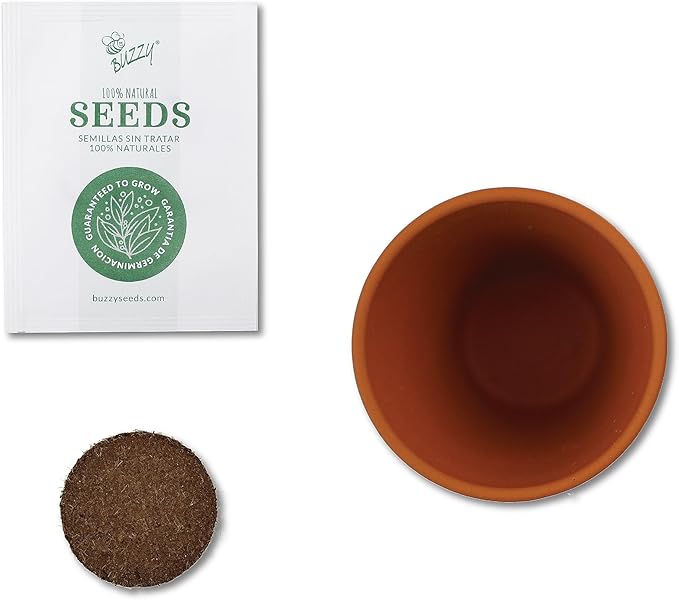 BUZZY Seeds Radiant Collection 12-Pack – All-in-One Mini Terracotta Seed Starter Kit for Herbs, Succulents, and Trees, Includes Aloe, Christmas Basil, and Spruce Seeds, Perfect Gardening Gift