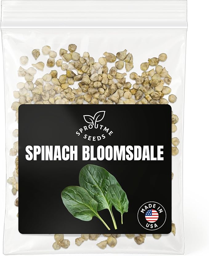 Fall & Winter Bloomsdale Spinach Seeds for Indoor & Outdoor Planting – 500+ Non-GMO Heirloom Savoy Spinach, High Germination (Spinacia oleracea)