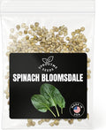 Fall & Winter Bloomsdale Spinach Seeds for Indoor & Outdoor Planting – 500+ Non-GMO Heirloom Savoy Spinach, High Germination (Spinacia oleracea)