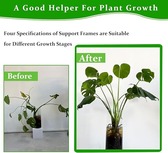 16Pcs 4 Sizes Monstera Plant Support Plant Stem Holders Reusable Plant Stabilizer for Indoor Plants Accessories Garden Tools