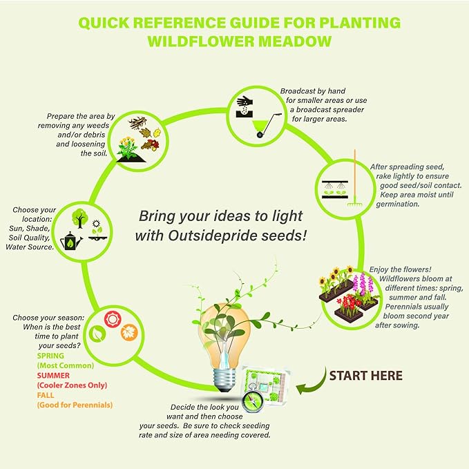 Outsidepride Red Poppy Seeds for Planting - 30000 Pcs. Annual, Drought-Tolerant & Easy to Grow Wildflower Seeds with Vibrant Red Blooms for Landscaping, & Pollinator Garden