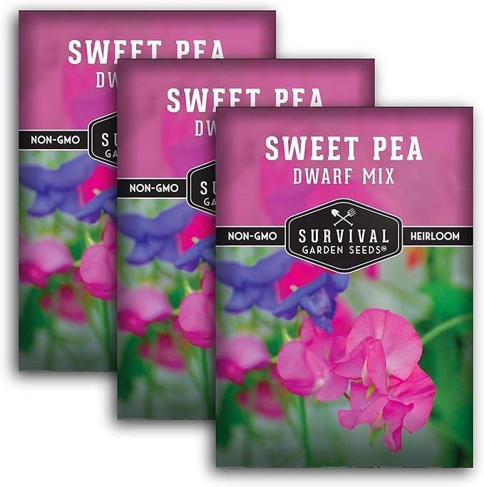 Dwarf Sweet Pea Seeds for Planting - Compact Bush Style Sweet Pea Flowers for Containers and Small Gardens, Fragrant Flower Variety for Outdoor Growing – Survival Garden Seeds (3 Packs)
