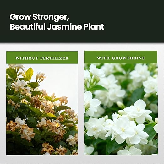 Jasmine Liquid Plant Food 10 oz – Organic Probiotic Liquid Fertilizer for Jasmine Plants, Natural Flower Food Concentrate – Promotes Growth, Green Leaves & White Blooms