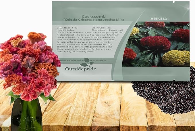 Outsidepride Mix Cockscomb Seeds - 500 Pcs Annual Dwarf Celosia Flower Seeds for Planting, Easy to Grow, Heat & Drought-Tolerant Exotic Flowers with Wavy Crests for Colorful Gardens