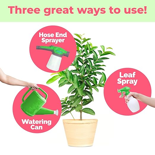 Guava Tree Fertilizer – Liquid Plant Food for More Fruit, Better Flowering & Stronger Root Development, 1 Gallon