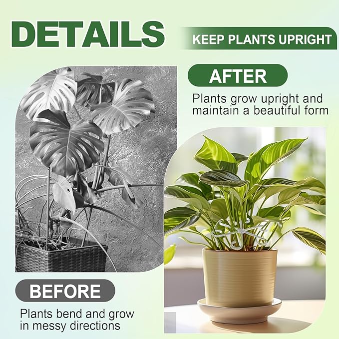 8pcs Upgraded Plant Stem Support, Transparent Plant Support for Indoor Plants, 4 Sizes Climbing Houseplant Stem Holders, Reusable Plant Stabilizer, Indoor Plants Accessories
