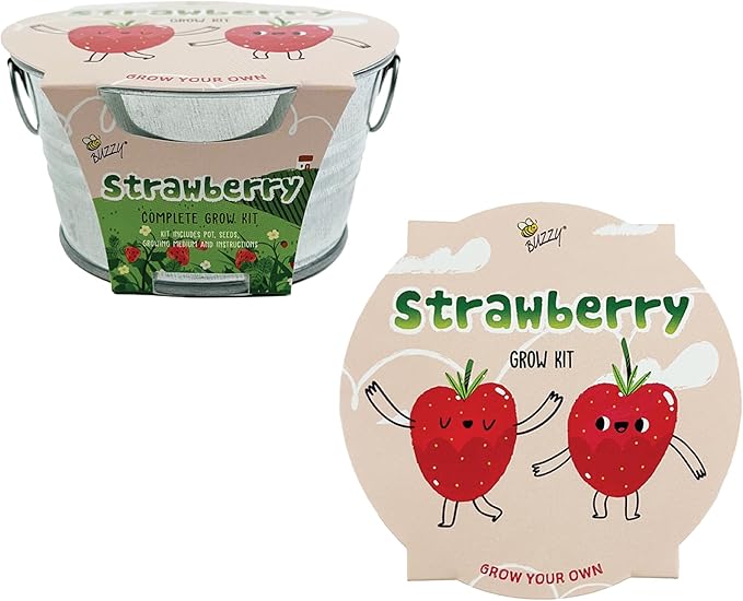 BUZZY Seeds Mini Basin Gardening Kit with Strawberry Seeds for Planting, Flowering Fruit Starter Set, Indoor Plants, DIY Plant Project, Party Favor