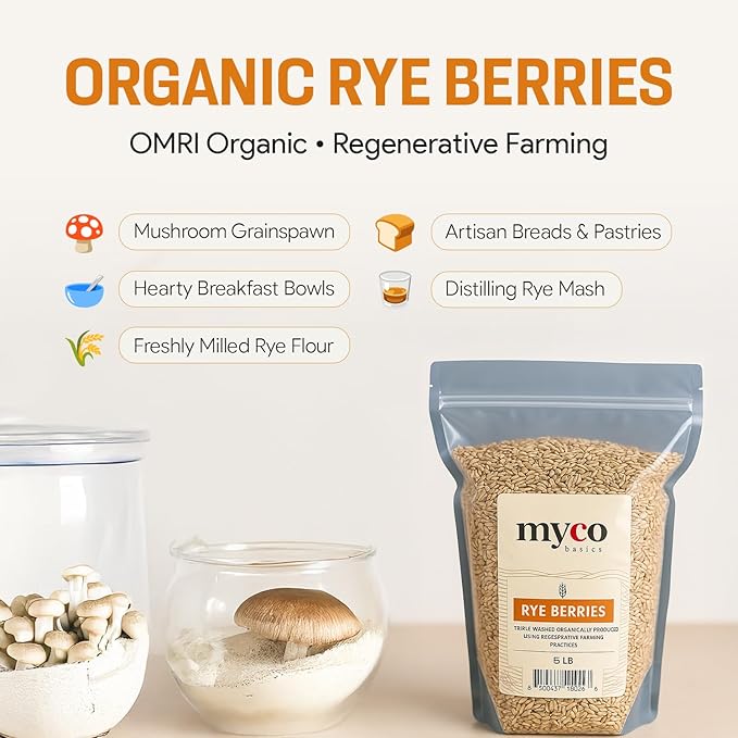 Bulk Rye Berries - Certified 100% Organic - Extra Clean - Great for Mushroom Spawn, Cooking, Brewing & Distilling - Triple Washed, non-GMO Rye Grain in Resealable Bag - by Mycology Basics (2.0 - 10 lbs)