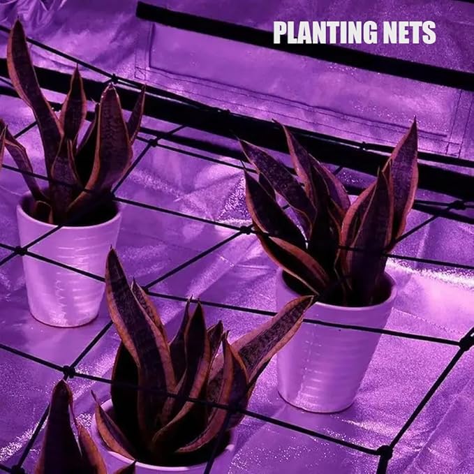 2 Pack Scrog net 4x4 FT Trellis Net for Grow Tent Elastic Net with 8 Hooks for Indoor Plant Growing Tents Garden Plant Climbing Plants Support Each Mesh 64 Cell