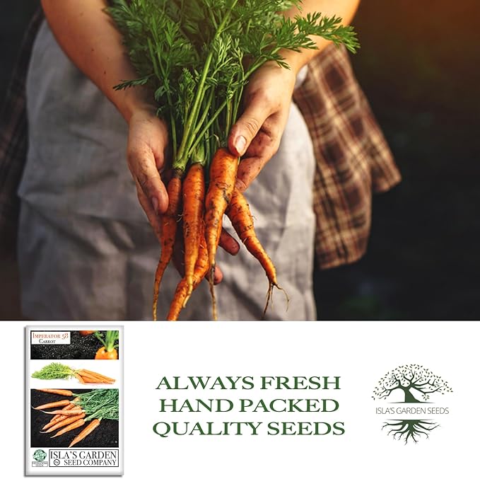 Imperator 58 Carrot Seeds (Daucus carota) – 500+ Non-GMO & Heirloom Seeds, Long and Sweet Carrots for Juicing, Fresh Eating, and Cooking, by Isla’s Garden Seeds, Great Gardening Gift