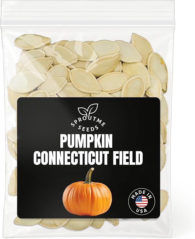 Fall & Winter Connecticut Field Pumpkin Seeds for Indoor & Outdoor Planting – 100+ Non-GMO Heirloom Jack-O’-Lantern, High Germination (Cucurbita Pepo)