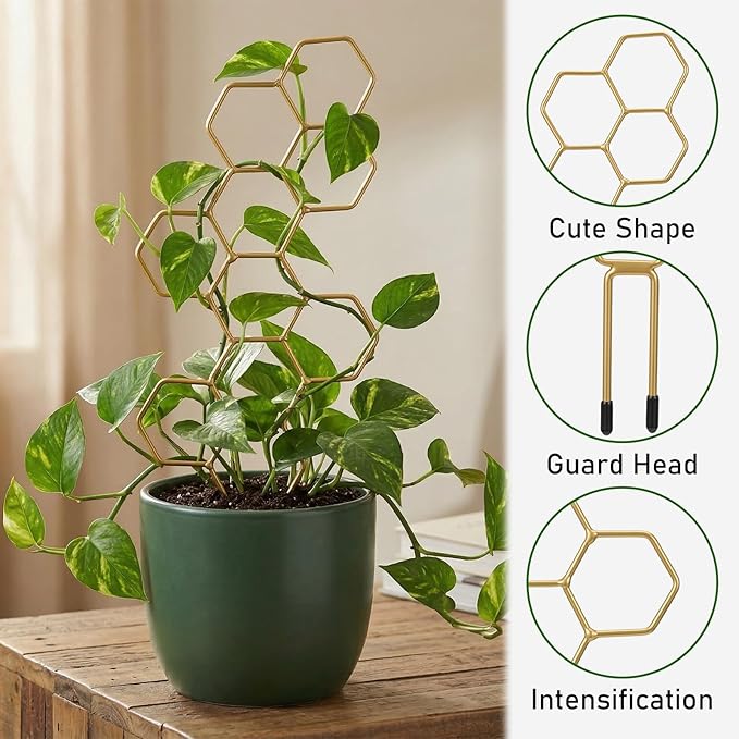 Plant Trellis Indoor, Trellis for Climbing Plants, Hanging Planters for Planting Houseplant Plant Wall, Honeycomb Pothos Planting Climber Support for Flower Indoor Plants Supports(Gold)