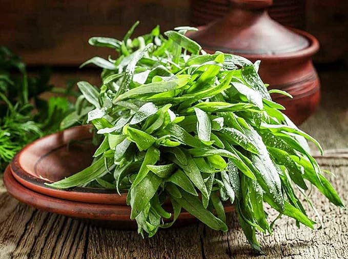 NIKA SEEDS - Seeds Herb Russian Tarragon Heirloom Estragon - 500 Seeds