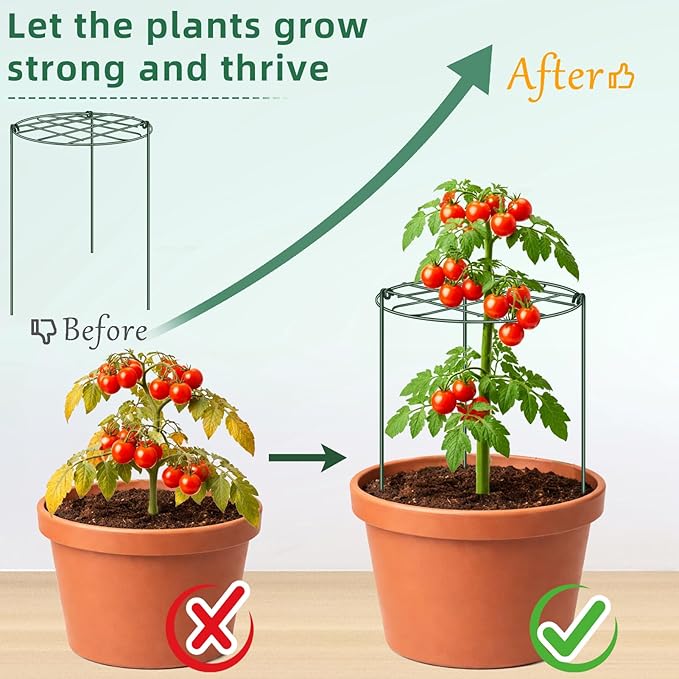 6 Pack Peony Cages and Supports 12 x 16 Inch Grow Through Plant Supports for Outdoor Plants,Plant Brace Flower Support Rings Hoops for Vegetables,Rose,Tomato,Orchids