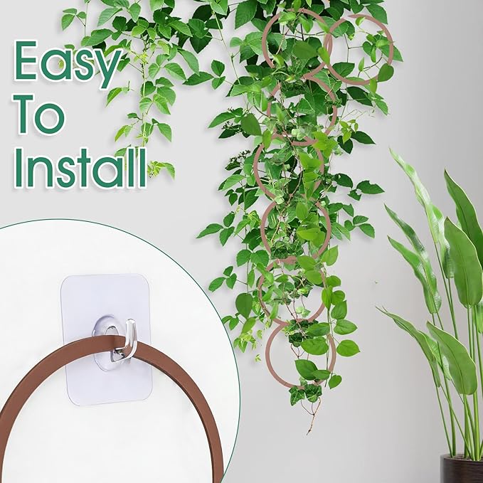 20pcs Round Chain Trellis for Climbing Plants Indoor, with 8pcs Self-Adhesive Hooks, HSSZXFR DIY Plant Climber Support for Vines and Garden Wall Trellis, for Monstera Pothos Ivy Flower
