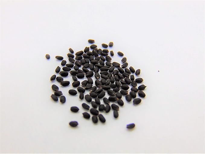 Joyous Jiffy "Herb" Collection #1 - (2) Round 3x3 Jiffy pots, (2) Soil Peat Pellets, (1) 25+ Oregano Seed Pack and (1) 25+ Sweet Genovese Basil Seed Pack. - Country Creek LLC