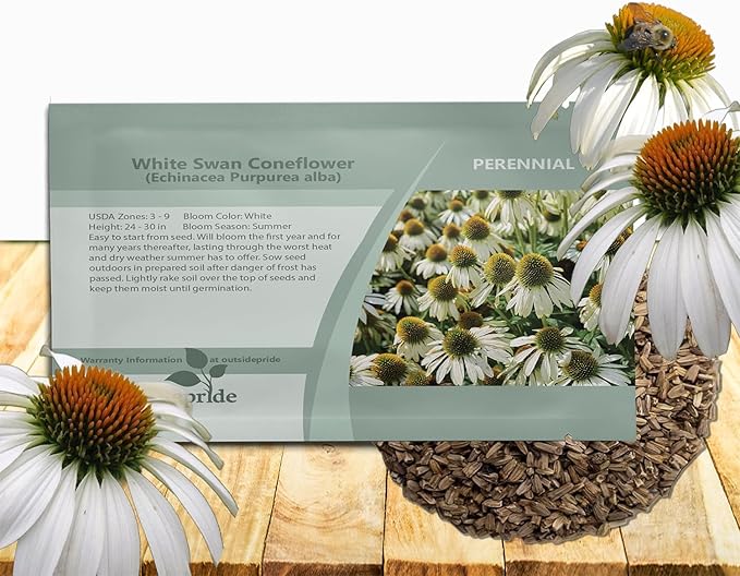 Outsidepride White Swan Echinacea Coneflower Seeds - 500 Pcs Hardy, Drought-Tolerant Perennial Wildflower Seeds for Planting w/Daisy-Like Blooms, Ideal for Gardens, Borders, & Pollinator Habitats