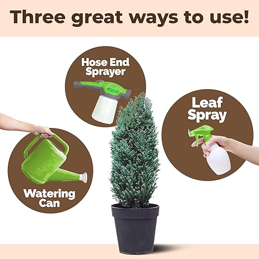 Pine Tree Fertilizer - for Leyland Cypress & Evergreen Tree Care - Pushes Rapid Root Growth for Strong, Wind-Resistant Yard Trees - Liquid Plant Food, 8 oz