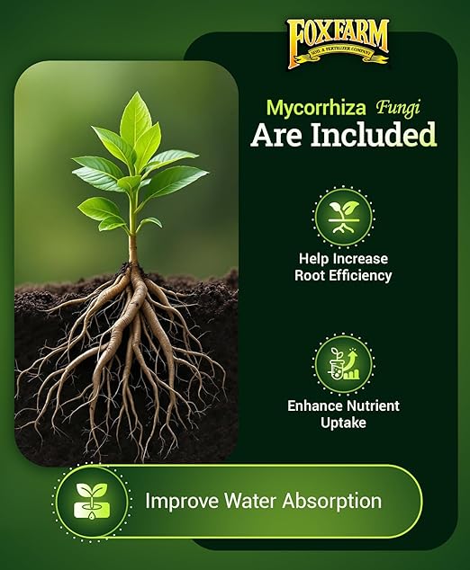 FoxFarm Happy Frog Tomato & Vegetable Fertilizer - Vegetable Fertilizer for Vigorous Feeders, 5-7-3 Blend with Calcium & Mycorrhizal Fungi, Supports Abundant Fruit Development, 4lb, Pack of 2