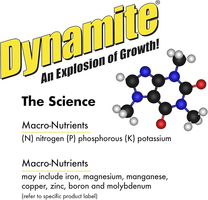 Dynamite Complete Plant Food Flower & Vegetable1 lb