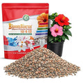 BloomBiscus® Hibiscus 4LB Plant Food - Made in USA - Fertilizer for Bird of Paradise, Angel Trumpets, Plumeria, Bromeliads, Canna Lily, Heliconia, Ixora, & Flowering Tropicals!
