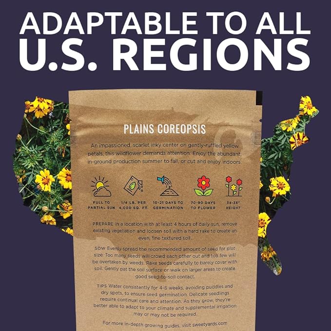 Plains Coreopsis Seeds – Native Flowers – Bulk Quarter Pound Bag – Over 400,000 Open Pollinated Non-GMO Wildflower Seeds – Coreopsis tinctorial