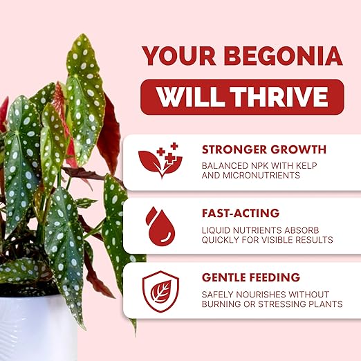 Begonia Fertilizer – Liquid Plant Food for More Blooms, Vibrant Color & Healthy Leaf Growth, 32 oz