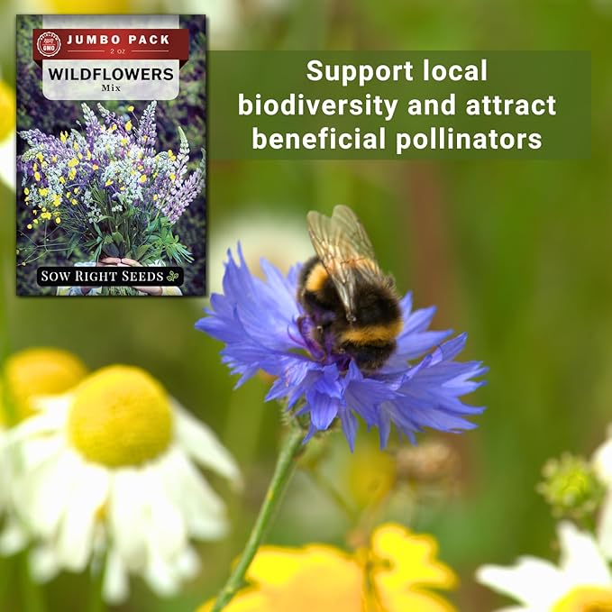 Sow Right Seeds - Bulk Wildflowers Seeds Mix for Planting - Annuals & Perennials - 2 Ounces, 56000 Seeds - Non-GMO Heirloom Jumbo Pack - Colorful Blooms for Home Grown Garden - Attract Pollinators
