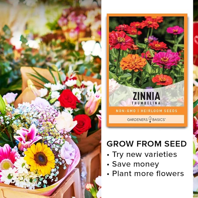 Gardeners Basics Zinnia Seeds for Planting Outdoors Flowers (Thumbelina) - Flower Seed Packet Annual Heirloom, Non-GMO Variety, 800mg Seeds Great for Summer Seeds for Flower Gardens