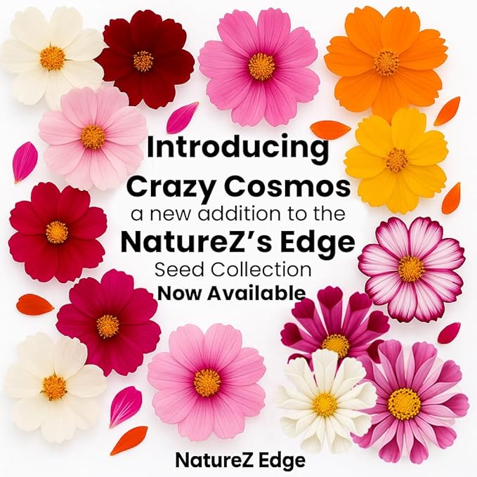 NatureZ Edge, Crazy Cosmos Seeds for 2026, 17,100 Cosmos Seed, 1/4 lb, Made In USA, Annual Cut Flowers, Wildflower Seeds Bulk for Planting Flowers, Wild Flowers Seed Throw and Grow, semillas de flores