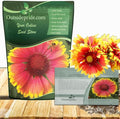 Outsidepride Gaillardia Aristata Red Blanket Flower Seeds for Planting - 1/4 lb Perennial Wildflower Seeds, Drought-Tolerant for Xeriscaping, Borders, Pollinator Gardens, or Wildflower Mixes