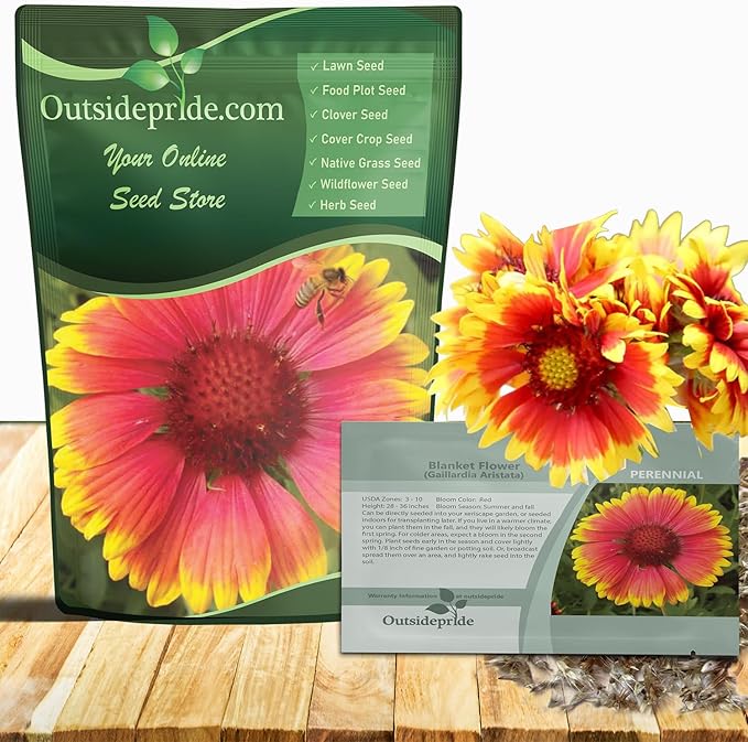 Outsidepride Gaillardia Aristata Red Blanket Flower Seeds for Planting - 1 lb Perennial Wildflower Seeds, Drought-Tolerant for Xeriscaping, Borders, Pollinator Gardens, or Wildflower Mixes