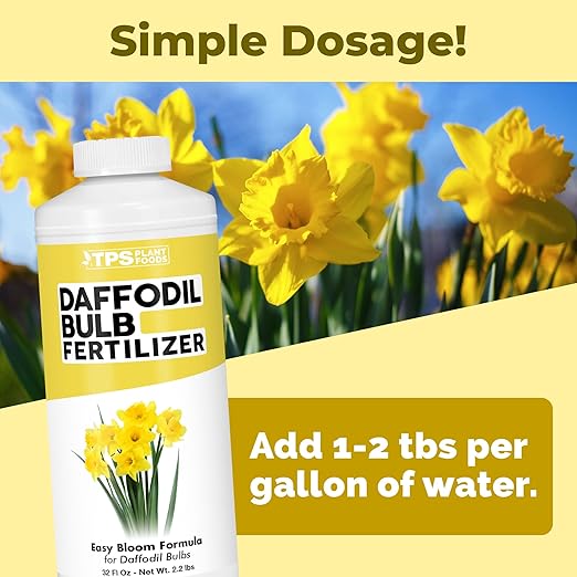 Daffodil Fertilizer – Liquid Plant Food for More Blooms & Stronger Bulb Development, 32 oz