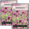 Sow Right Seeds - Purple Globe Amaranth Seeds for Planting - Non-GMO Heirloom Packet with Instructions to Plant & Grow an Outdoor Home Flower Garden - Gomphrena Pompom Flowers - Use Dried for Tea (2)