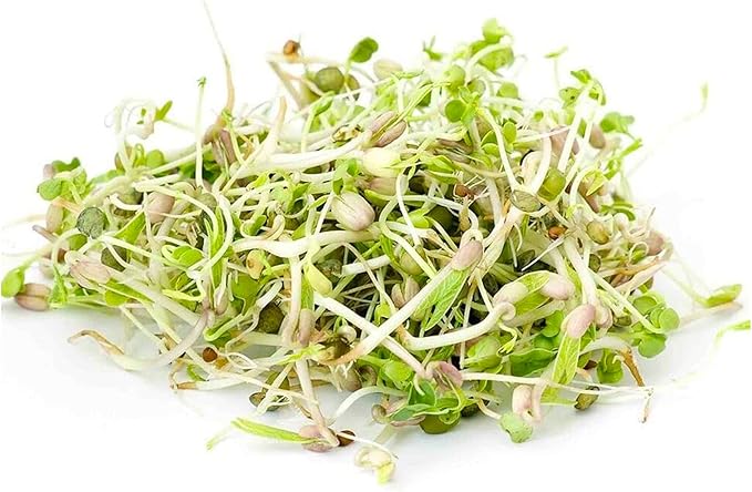 Todd’s Seeds - Countryside Delight Sprouting Seed Mix - One Pound - Sprouting Seeds for Microgreens - Clover, Cress, Arugula, Radish and Dill - Chemical Free - Non GMO